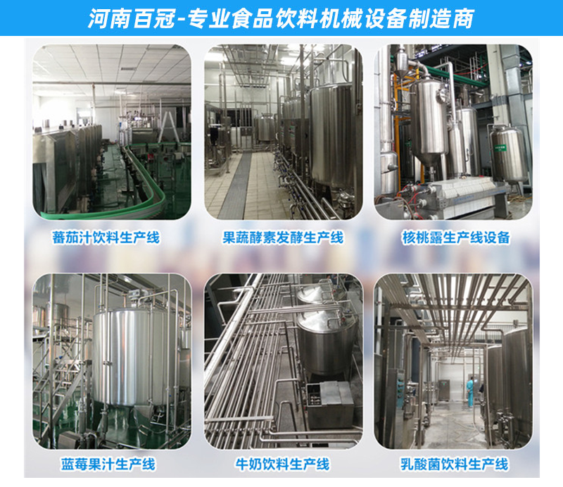 小型檸檬果汁飲料生產(chǎn)線(xiàn)加工設備